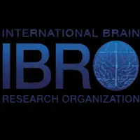 IBRO/IBE-UNESCO Science of Learning Fellowships 2024
